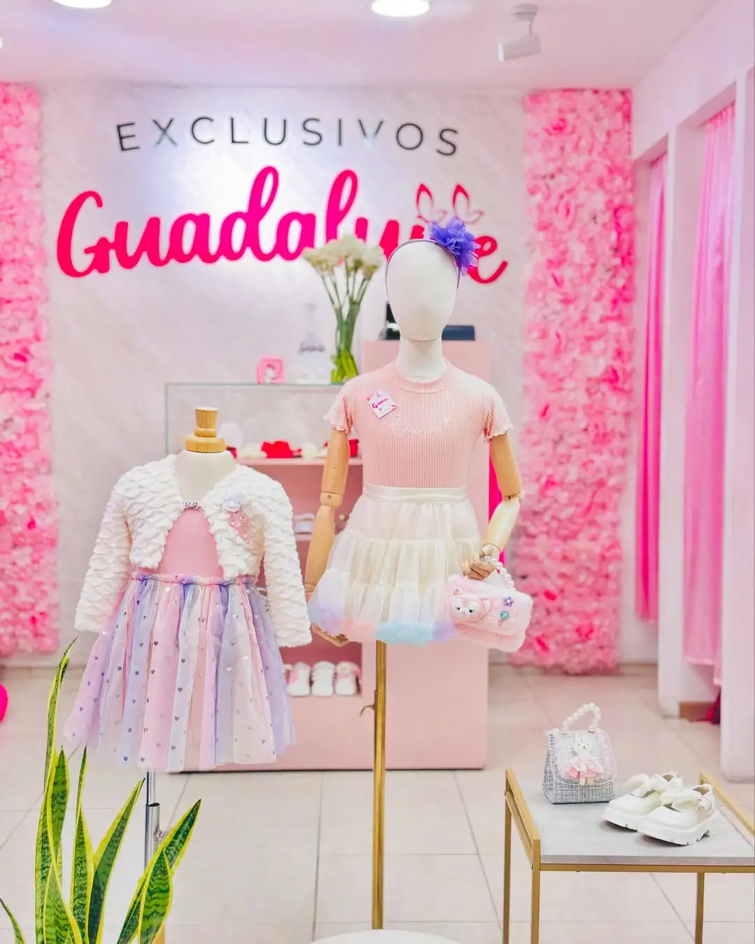 Colección Guadalupe